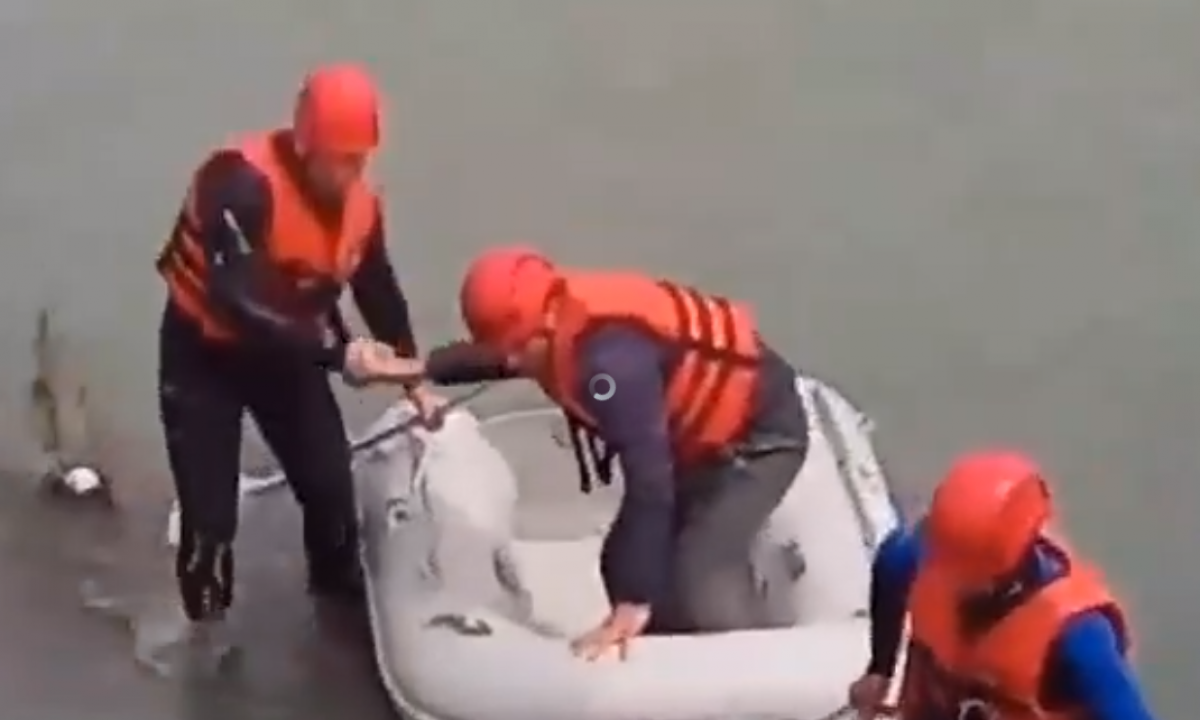 მდინარე ჭოროხიდან მეხანძრე-მაშველებმა 32 წლის მამაკაცი და ძაღლი უვნებლად გამოიყვანეს